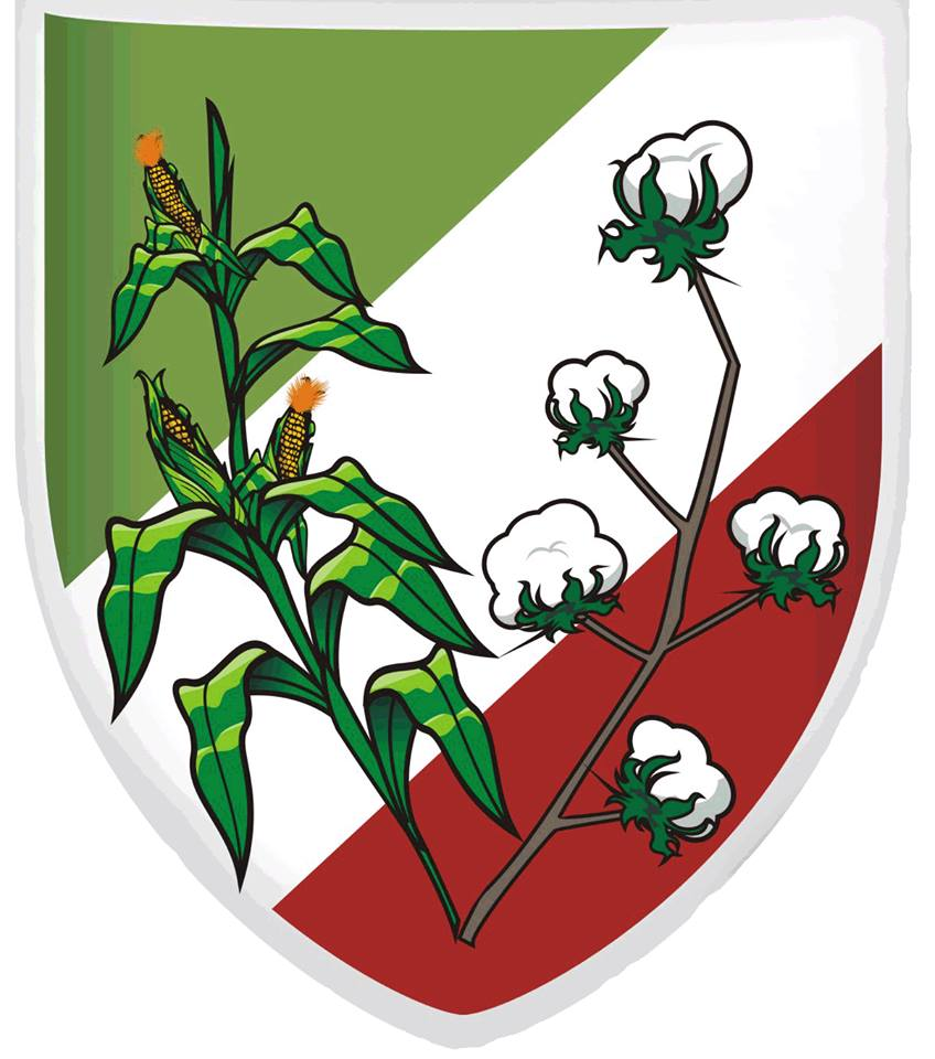 Prefeitura de São José dos Cordeiros - PB abre concurso público de Enfermagem